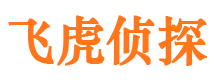 云县市调查公司